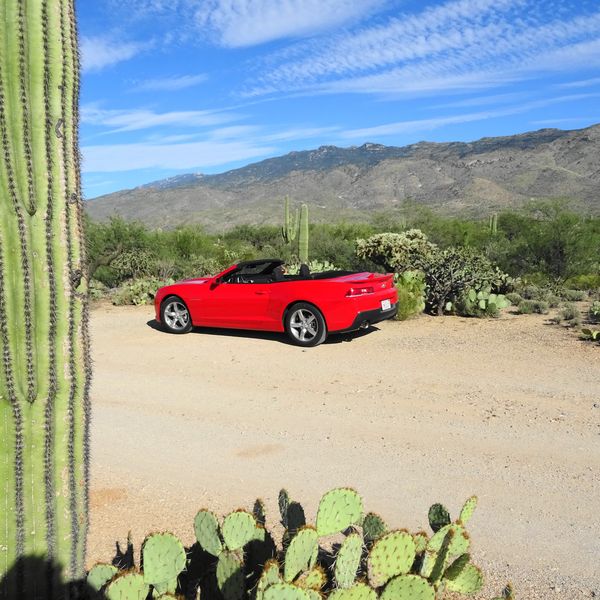 Tucson - Arizona - Doets Reizen