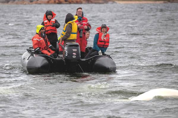 Zodiac Beluga Churchill