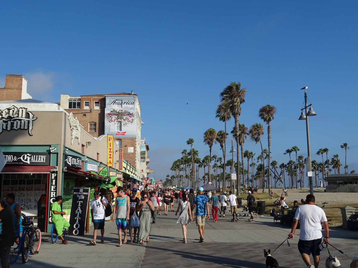 Venice Beach - Los Angeles - California - Amerika - Doets Reizen