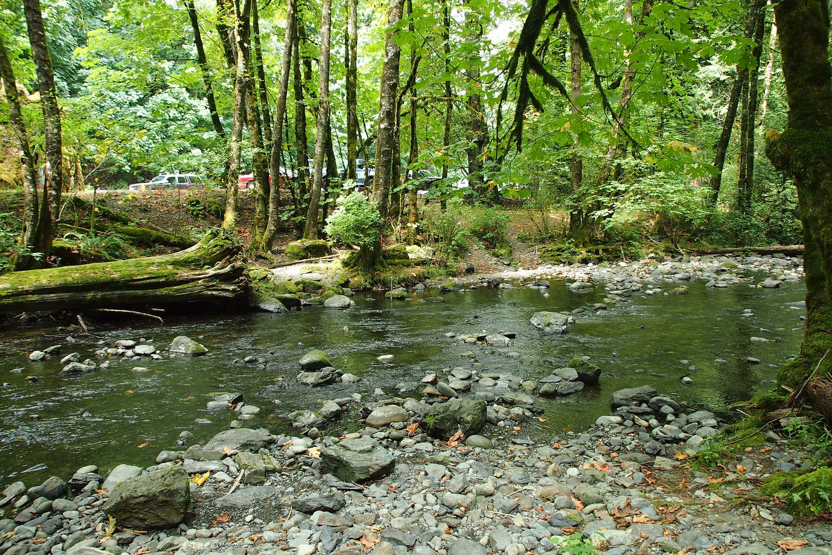 Pacific Rim National Park - Vancouver Island - British Columbia - Canada - Doets Reizen