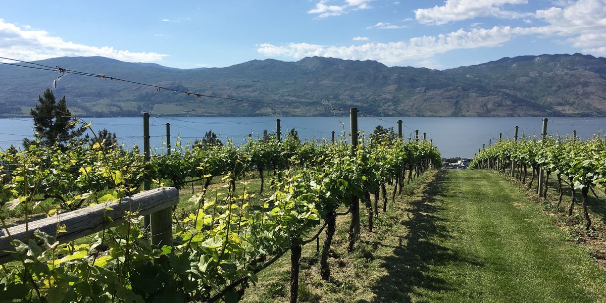 Kelowna - Okanagan Valley - British Columbia - Canada - Doets Reizen