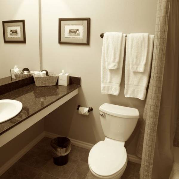 wildcatter ranch badkamer