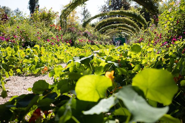 Giverny tuin monet - Doets Reizen - Vakantie Frankrijk - Credits Pixabay