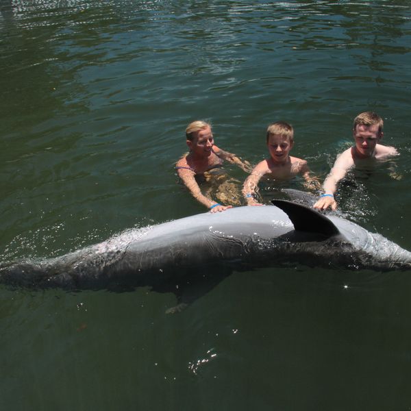 Theater of the Sea - Islamorada - The Keys - Florida - Doets Reizen