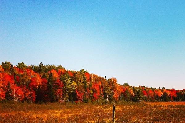 Indian Summer Ontario - Canada - Doets Reizen