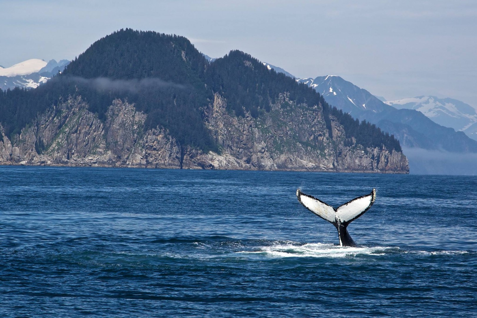 Kenai Fjords National Park - Alaska - Doets Reizen