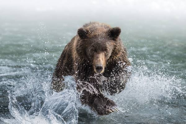 Klahoose Wilderness Resort - Wilderness Lodge Canada - Doets Reizen - Vakantie Canada - Canada Rondreis