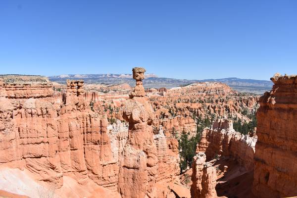 Bryce Canyon National Park - Utah - Vakantie West Amerika - Doets Reizen (29)