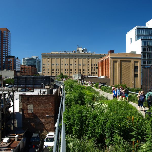 Highline Park - New York - Doets Reizen