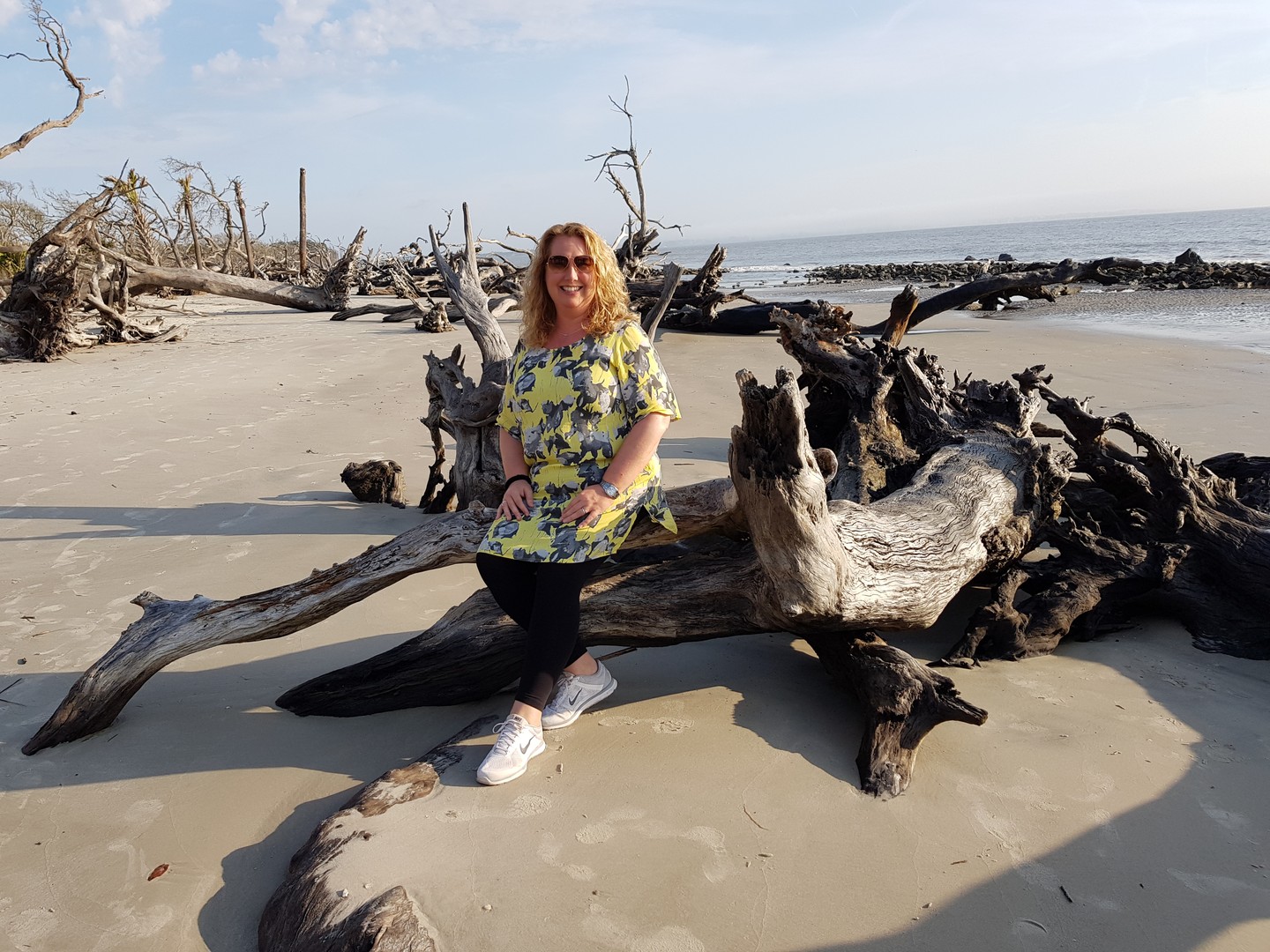 Driftwood Beach - Jekyll Island - Georgia - Amerika - Doets Reizen