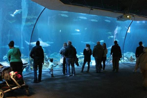 Chicago - Illinois - Doets Reizen