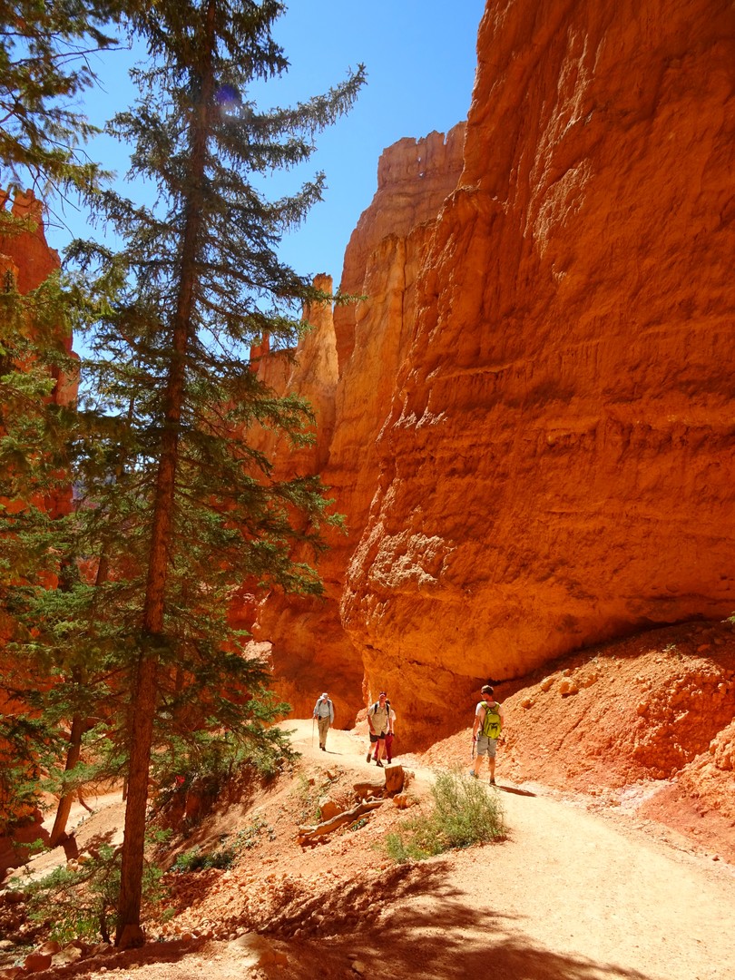 Bryce Canyon National Park - Utah - Doets Reizen