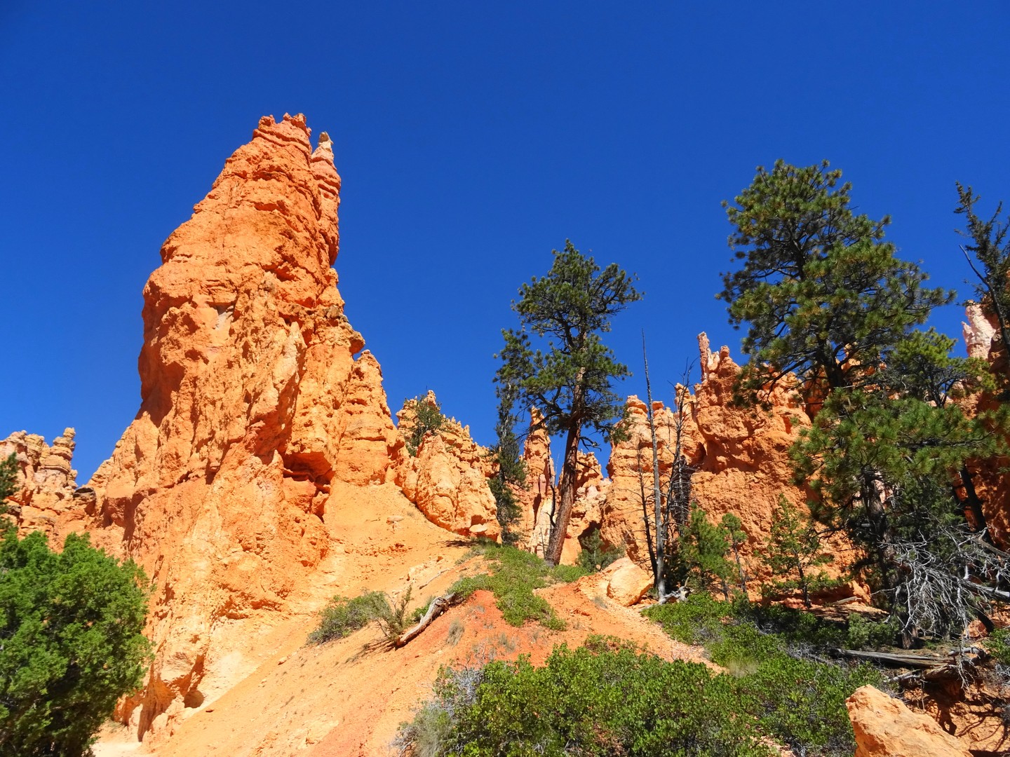​Bryce Canyon National Park - Utah - Doets Reizen