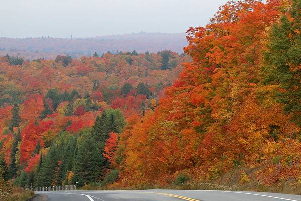 Indian Summer Algonquin Park - Ontario - Canada - Doets Reizen