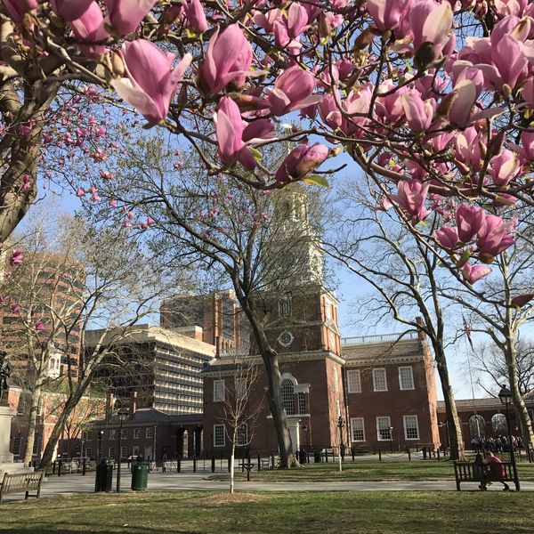 Philadelphia - Pennsylvania - Amerika - Doets Reizen