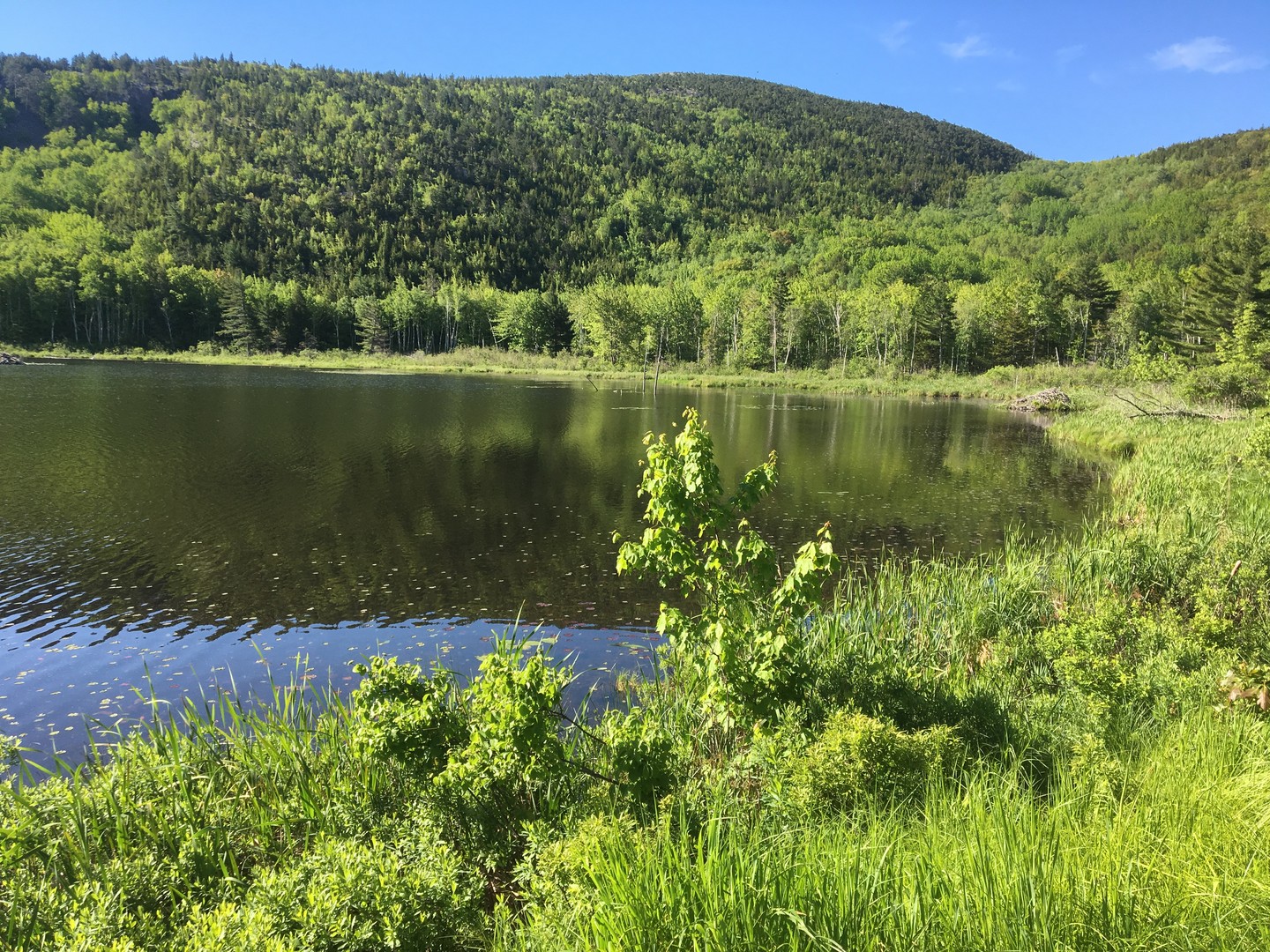 Acadia National Park - Maine - Amerika - Doets Reizen