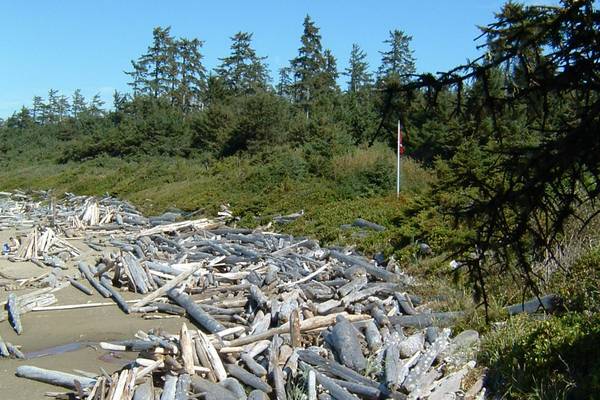 Pacific Rim National Park - Vancouver Island - British Columbia - Canada - Doets Reizen