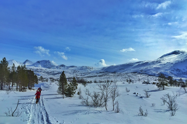 Narvik - Doets Reizen - Vakantie Noorwegen - Credits VisitNorway