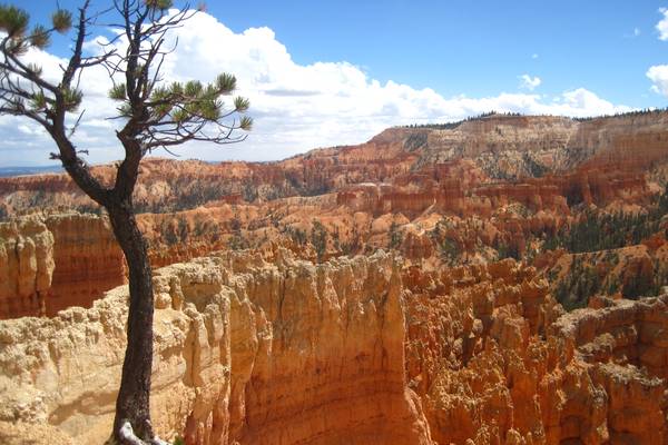 ​Bryce Canyon National Park - Utah - Doets Reizen