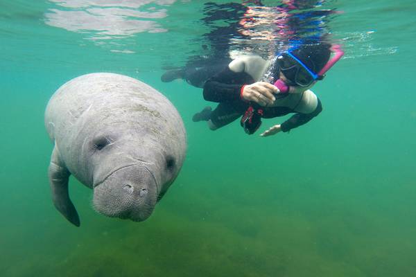 Crystal River - Florida - Doets Reizen