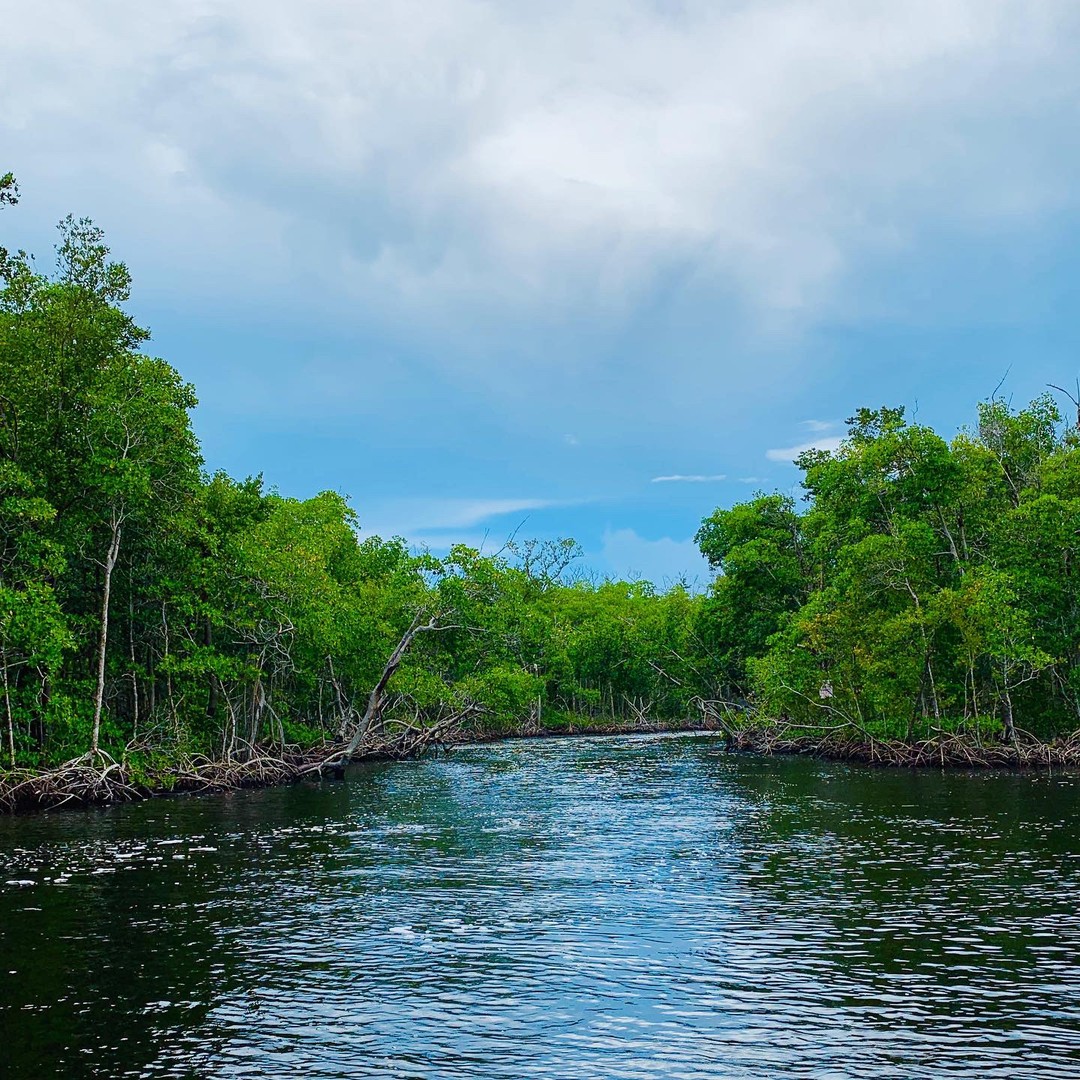 Airboat Tour Everglades National Park - Florida - Doets Reizen