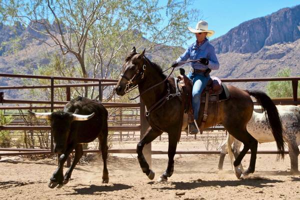 White Stallion Ranch Tucson - Amerika Doets Reizen