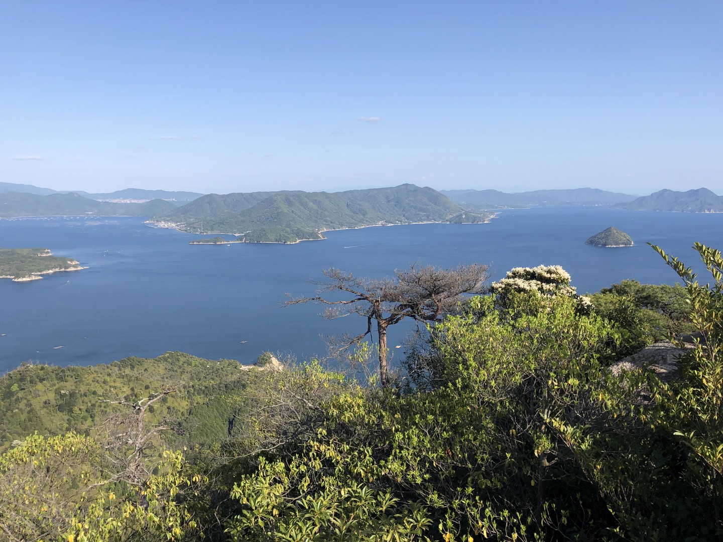 Miyajima - Japan - Doets Reizen