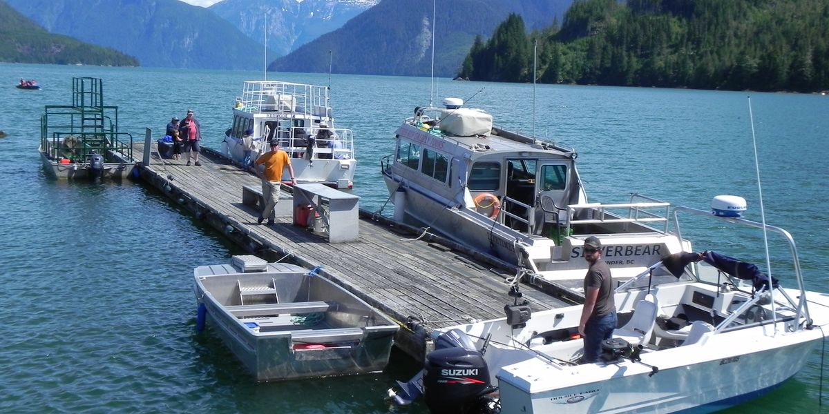 Tide Rip Tours - Telegraph Cove - Vancouver Island - British Columbia - Canada - Doets Reizen