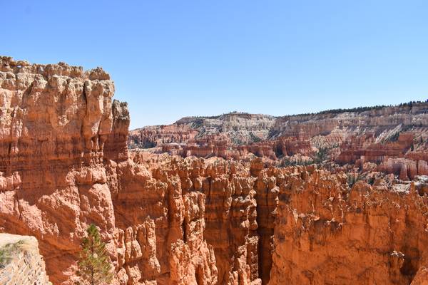 Bryce Canyon National Park - Utah - Vakantie West Amerika - Doets Reizen (32)