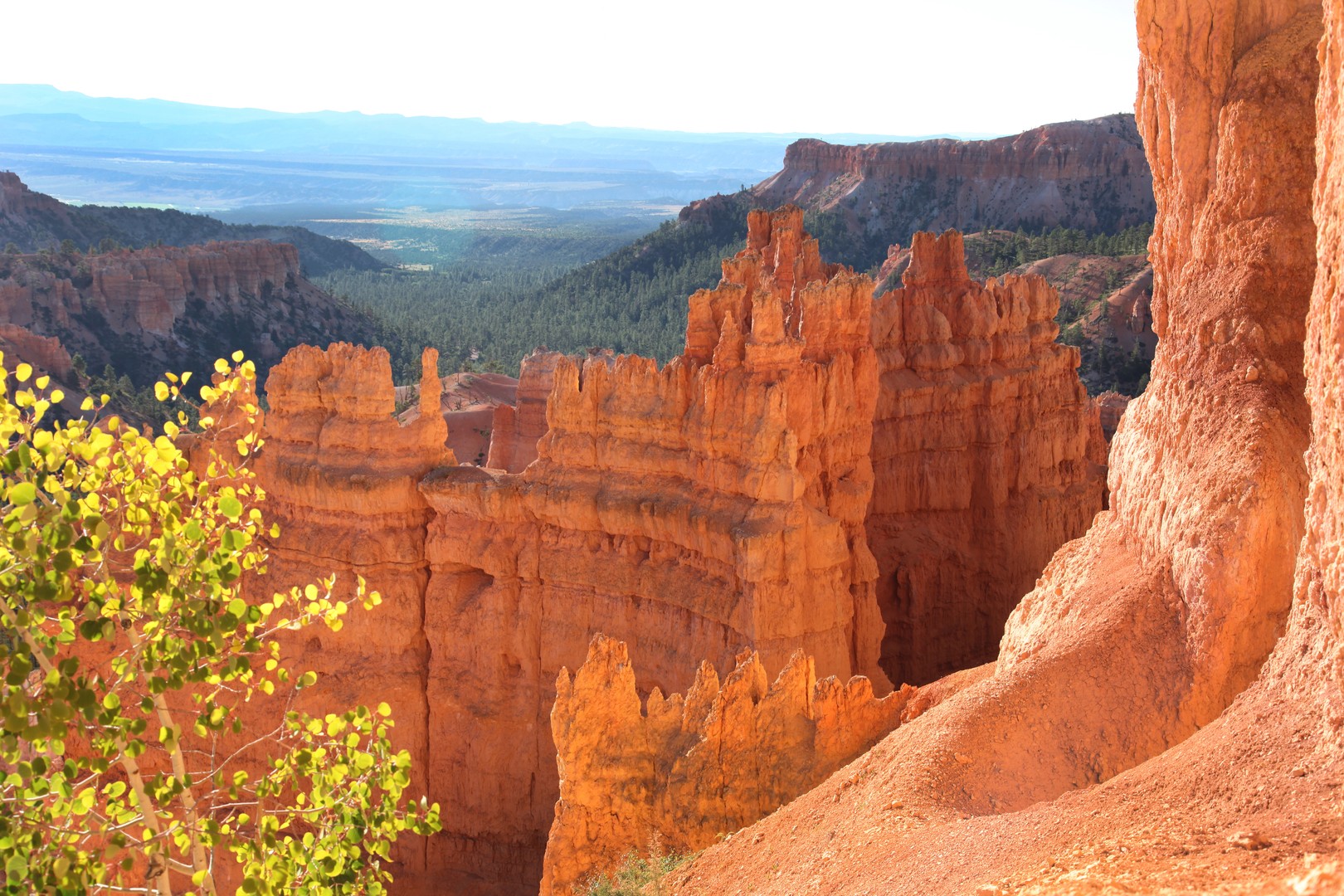 Bryce Canyon National Park - Utah - Doets Reizen