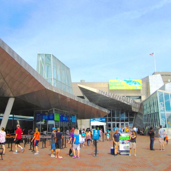 New England Aquarium - Boston - Massachusetts - Doets Reizen
