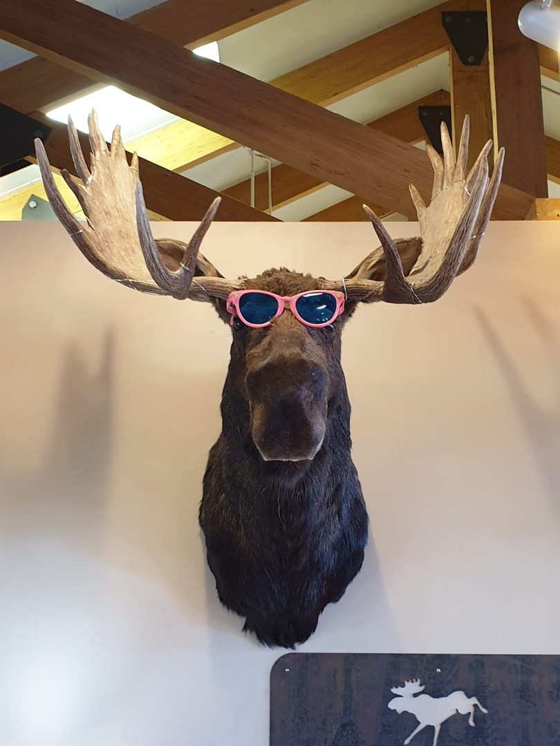 Denali Bluff's Hotel - Denali National Park - Alaska - Doets Reizen