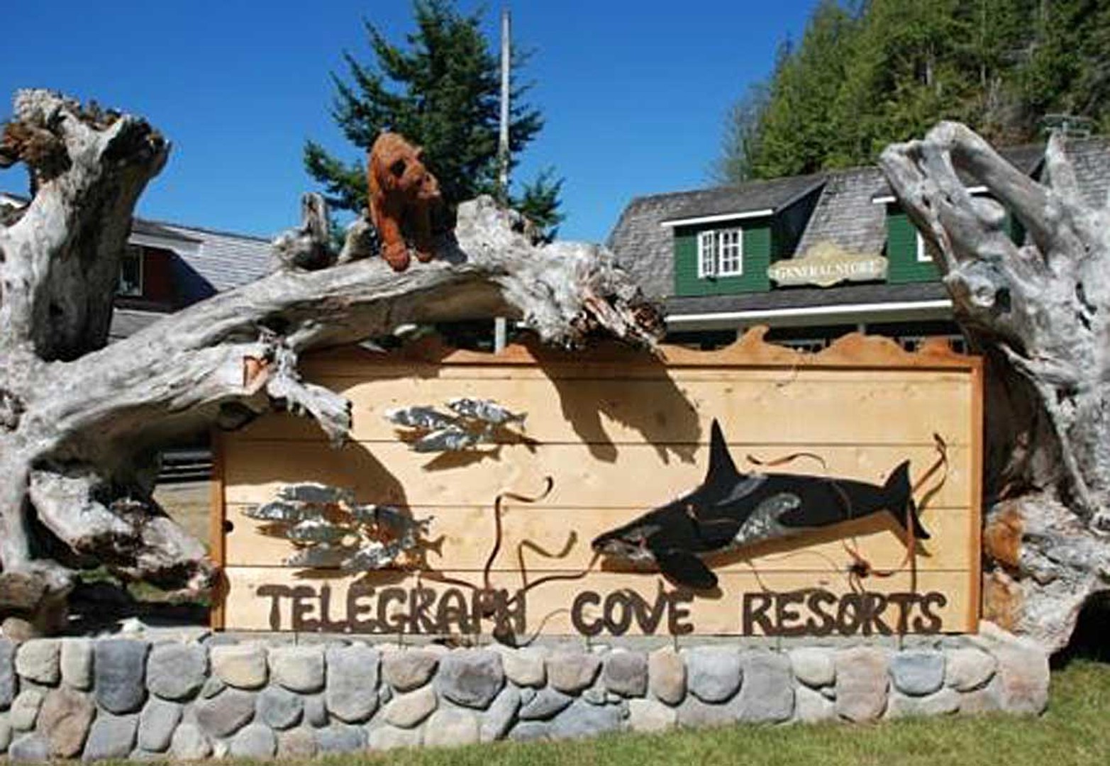 Tide Rip Tours - Telegraph Cove - Vancouver Island - British Columbia - Canada - Doets Reizen
