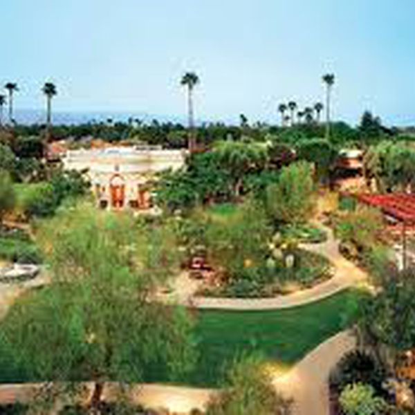 Parker Palm Springs - Tuin