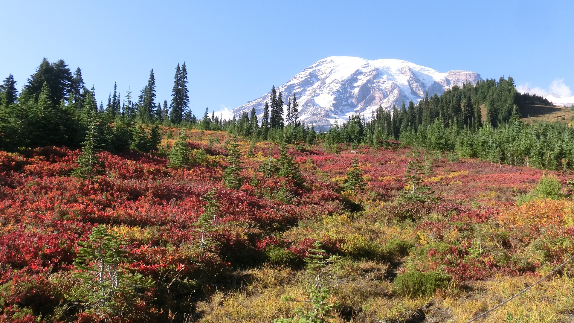 Mount Rainier National Park - Washington State - Doets Reizen