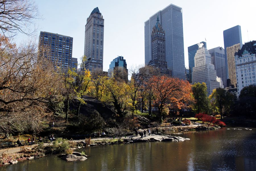 Central Park in New York