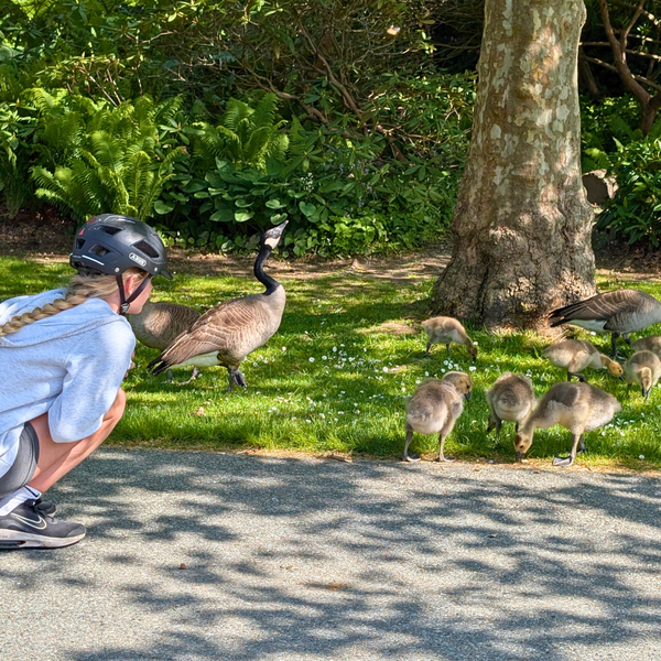Family Stanley Park Tour - Cycle Vancouver - Doets Reizen (1)