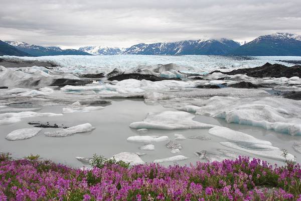 Knik Glacier - Alaska - Doets Reizen
