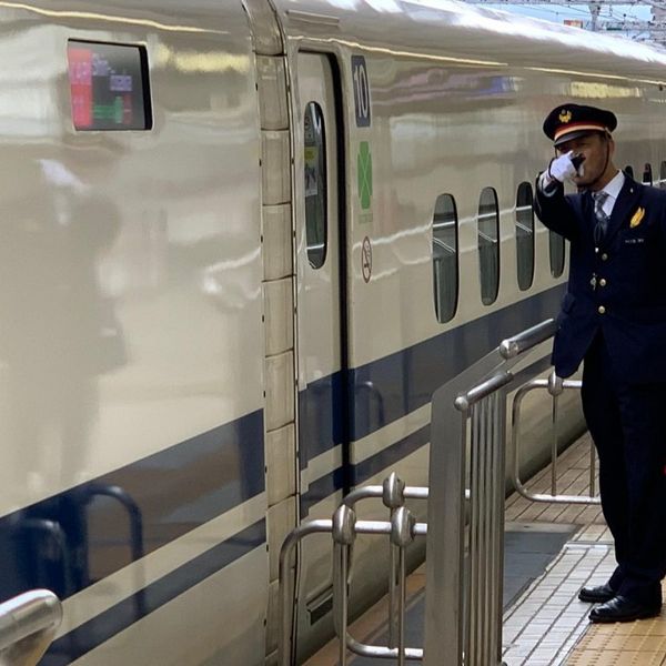 Bullettrein - Japan - Doets Reizen