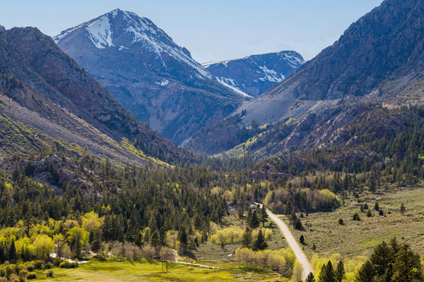 Tioga Pass in California - Doets Reizen - Vakantie Amerika