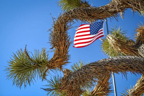 Joshua Tree National Park - California - Amerika - Doets Reizen