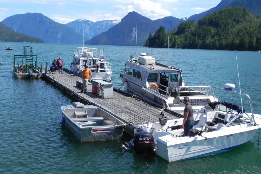 Tide Rip Tours - Telegraph Cove - Vancouver Island - British Columbia - Canada - Doets Reizen