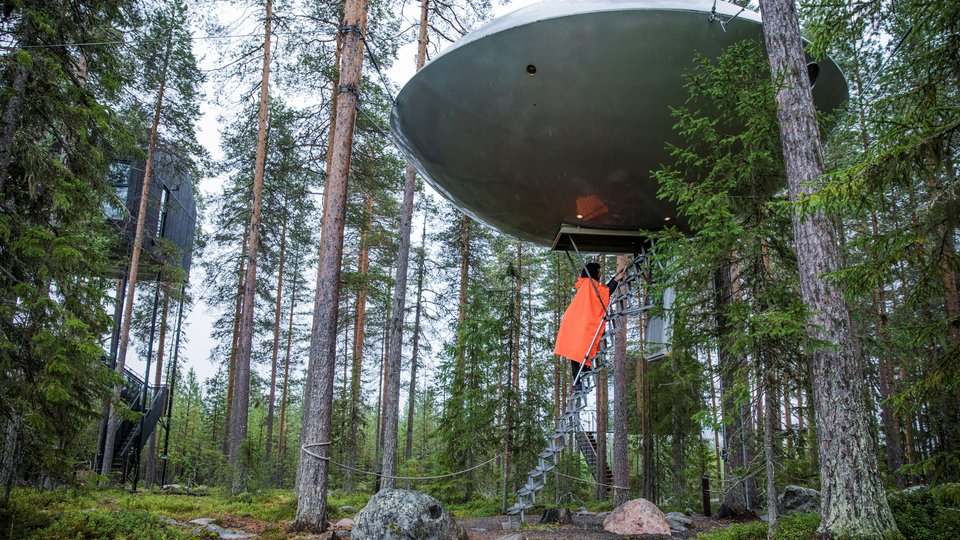 Treehotel in Zweden - Vakantie Zweden - Doets Reizen