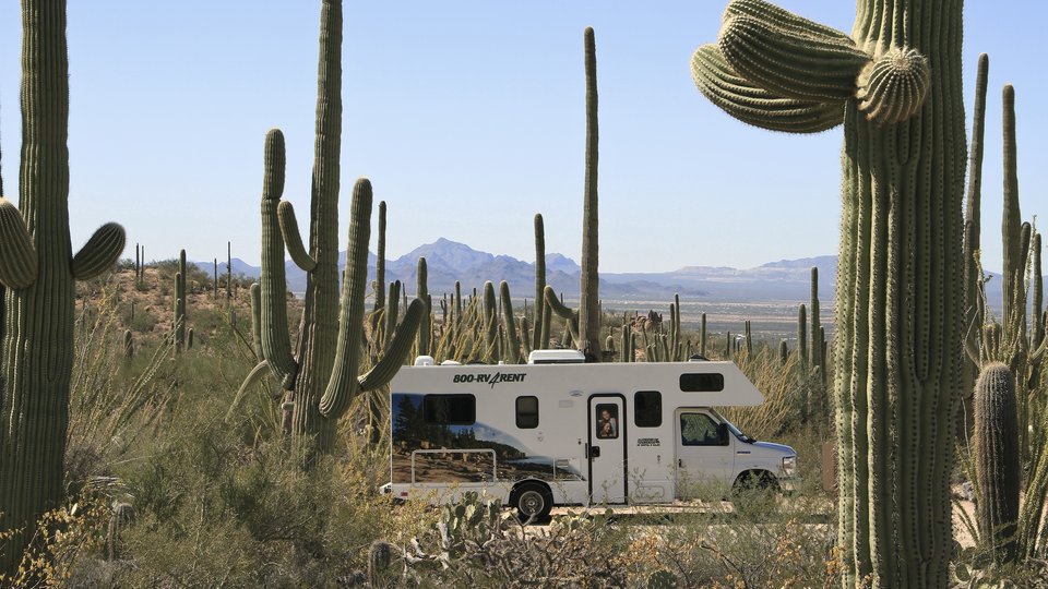Saguaro National Park - Cruise America - Camper huren Amerika -Camperreis - Doets Reizen