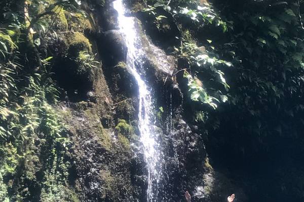 Road to Hana - Maui - Hawaii - Doets Reizen
