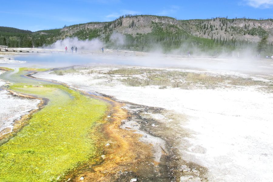 Yellowstone NP Wyoming