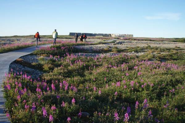 Churchill - Manitoba - Canada - Doets Reizen