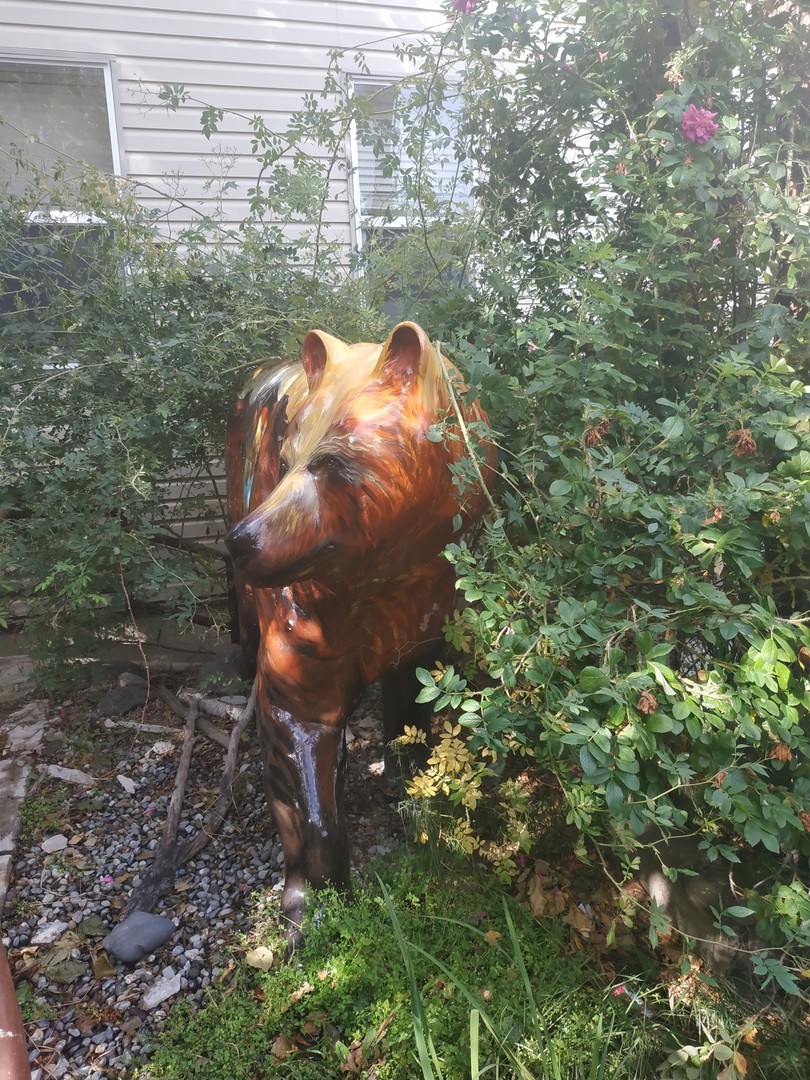 Trails in Anchorage - Alaska - Doets Reizen