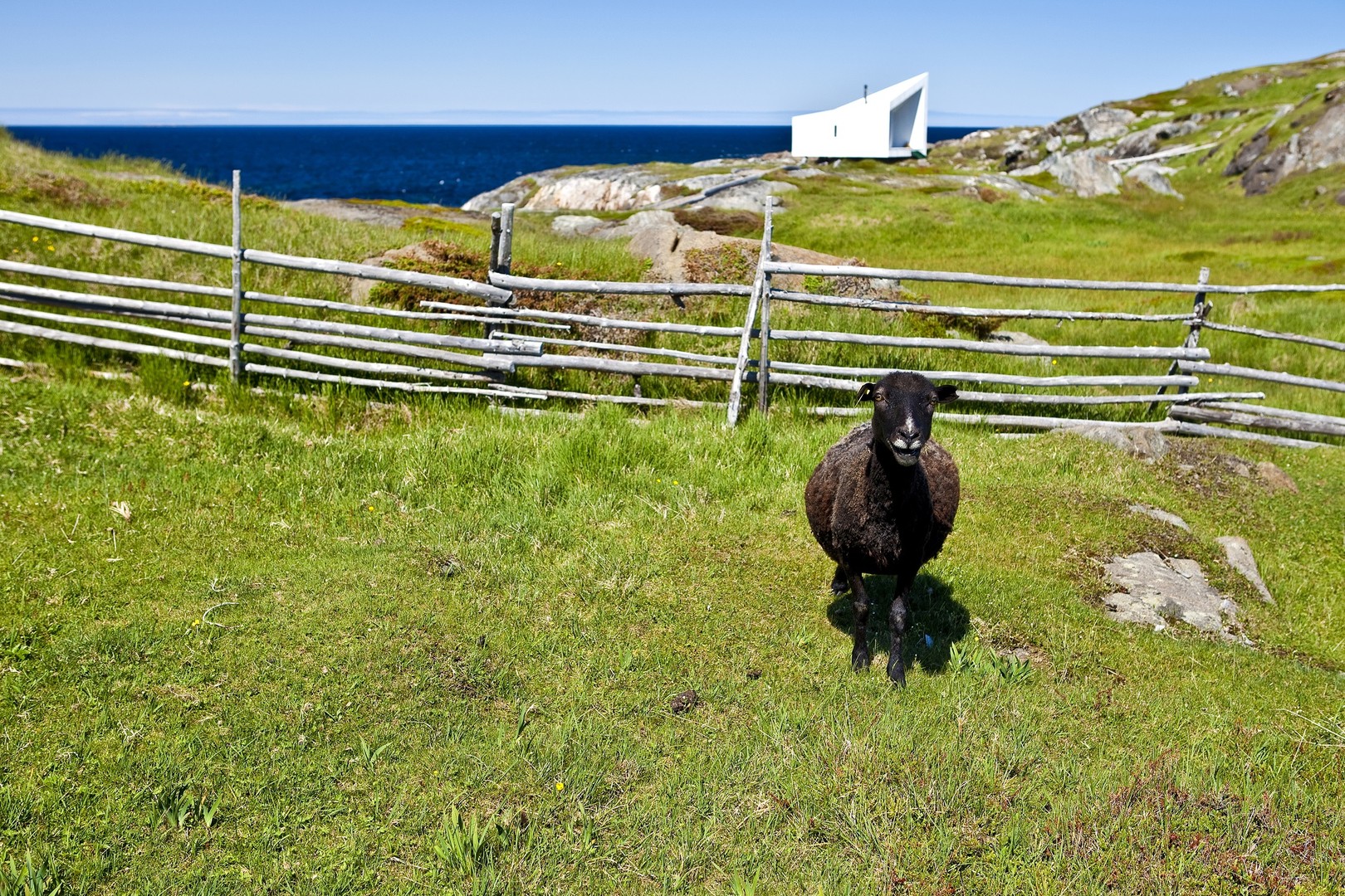 Fogo Island - Newfoundland & Labrador - Canada - Doets Reizen