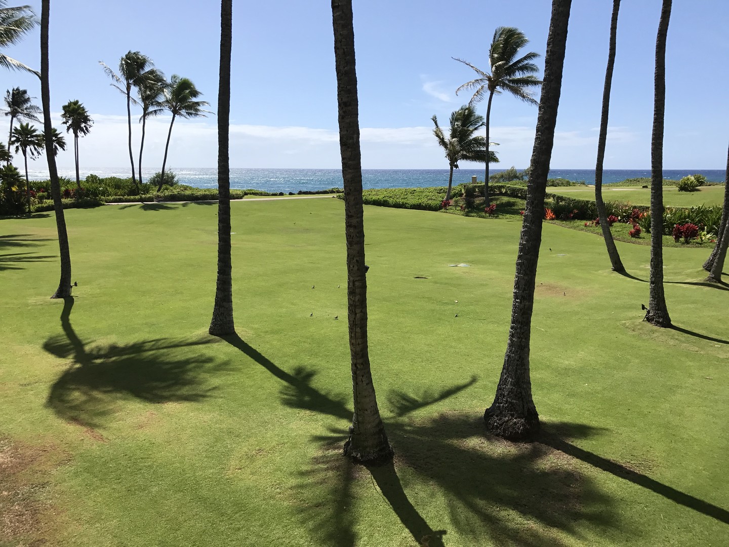 Kauai - Hawaii - Doets Reizen